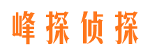 新宁市私家侦探